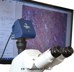 Камера ProgRes на микроскопе Axio Lab с эргономичным тринокуляром