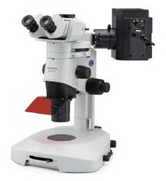 стереомикроскоп Olympus SZX16 с флуоресцентным осветителем и цифровой камерой