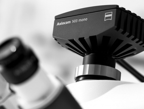цифровая камера Axiocam 503 color