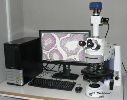 Микроскоп Axio Imager А2 с камерой ProgRes Prokyon