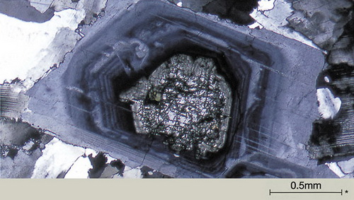 Диорит. Съемка поляризационного микроскопа Olympus BX 53-P