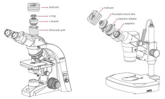 вариант установки камеры Moticam Х3+ на микроскоп