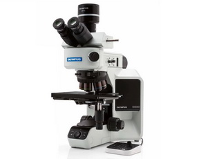microscope olympus bx53
