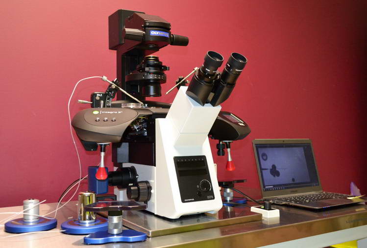микроскоп Olympus IX73 с микроманипуляторами Integra 3 (ICSI)
