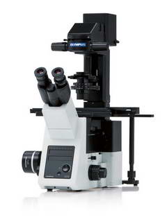 Инвертированный микроскоп Olympus IX73P1F