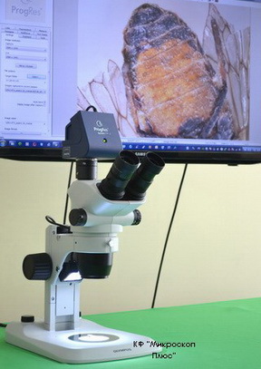 Stereomicroscope Olympus SZ61, stand SZ2-ILST, digital camera ProgRes XT