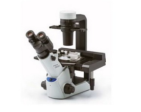 Микроскоп Olympus CKX53