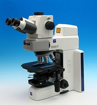 Флуоресцентный микроскоп Axio Scope FL-LED1