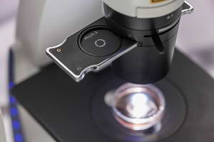 фазовый контраст на инвертированном микроскопе Zeiss PrimoVert