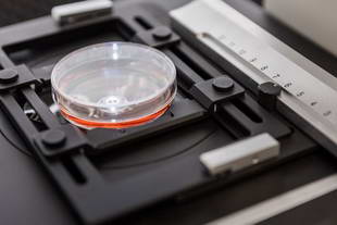 Универсальный держатель посуды для инвертированного микроскопа